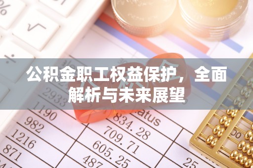 弋江公积金职工权益保护，全面解析与未来展望