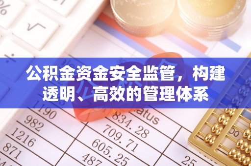 弋江公积金资金安全监管，构建透明、高效的管理体系