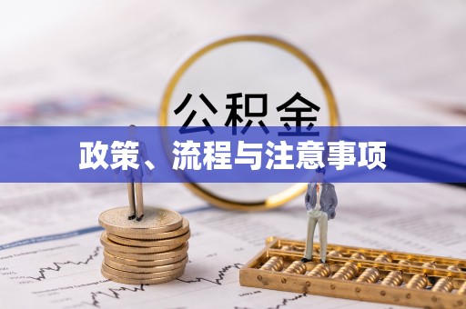 弋江政策、流程与注意事项